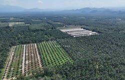sungai siput, Kuala Kangsar, Perak 31100