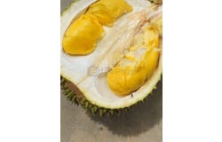 O, Jelebu, Negeri Sembilan 0