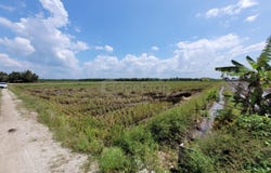 T, Tanjong Karang, Selangor 45500
