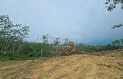 Jerlun, Kuala Kangsar, Kuala Kangsar, Perak 33000