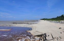 Sekinchan, Selangor
