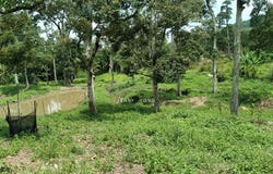 j, Semenyih, Selangor