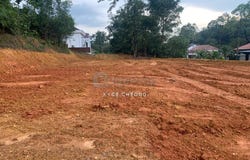 Jalan Equine, Puchong South, Selangor 43300
