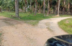 Banting, Selangor 42700