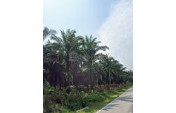Ipoh, Perak 31400
