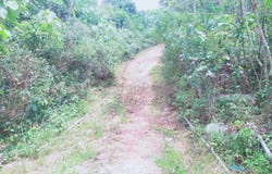 Temerloh, Pahang