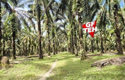 Selama, Perak