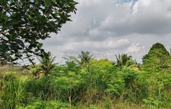 Ulu Tiram, Johor 81800