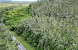 Jitra, Kedah 6000