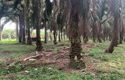 Parit, Perak 32800