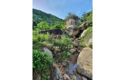 sungai siput, Kuala Kangsar, Perak 31100