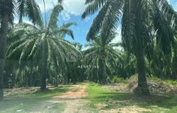 Bedong, Kedah 8100