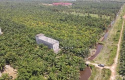 Tanjong Karang, Selangor