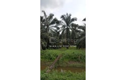 Kuala Langat, Selangor 42500