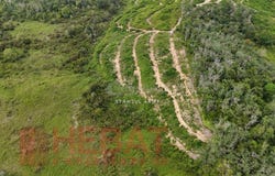 Temerloh, Pahang 28000