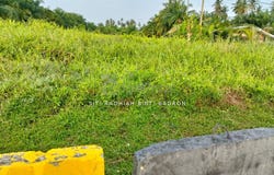 Sekinchan, Selangor 45400