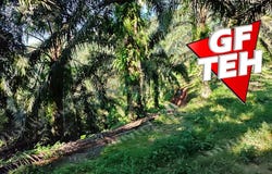 Kulim, Kedah 09000