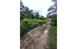 Banting, Selangor 42700