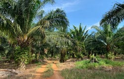 Melaka, Melaka 76450