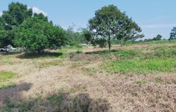 Karak, Pahang 28600