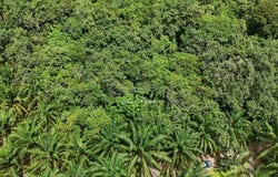 Sungai Siput Perlop, Kuala Kangsar, Perak 31100