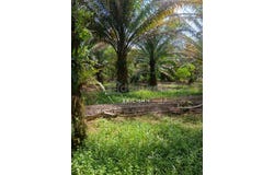 Batang Padang, Perak 35500