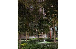 Taman Desa, Kuala Lumpur 58100