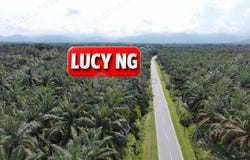 Larut Matang, Perak 34100
