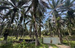 Batang Padang, Perak 35500