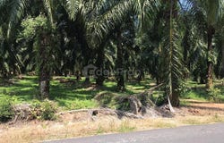 Telok Panglima Garang, Selangor 42500