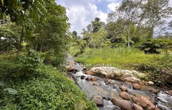 Bentong, Pahang 28750