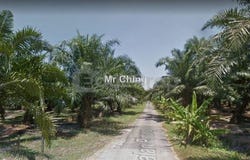 Banting, Selangor 42700