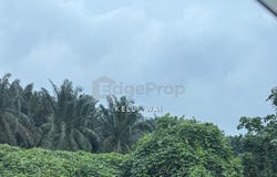 Kota Tinggi, Johor 81900