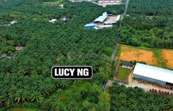 Bukit Mertajam, Penang 14000