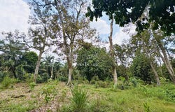 Simpang Renggam, Johor 86200