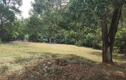 Jalan Karnelin, Shah Alam, Selangor 40000