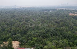 Jalan Bukit Berdamar, Cyberjaya, Selangor 63000