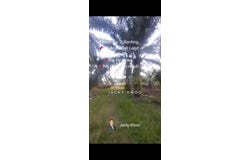 Banting, Selangor 42700