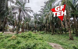 Kulim, Kedah 9400