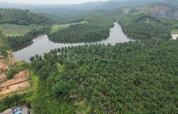 Kulai, Johor 81000