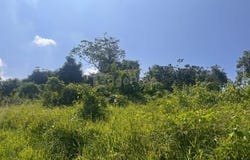 Kampung Lata Kasah Jerantut, Jerantut, Pahang 27000