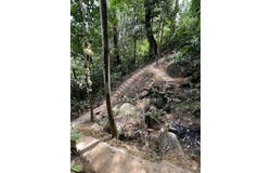 Janda Baik Tanarimba , Bentong, Pahang 28750