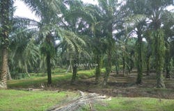 Manjung, Perak 32000