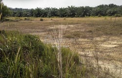 Kuala Selangor, Selangor 45600
