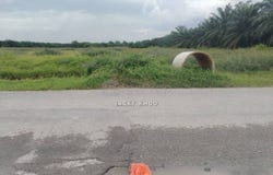 Banting, Selangor 42700