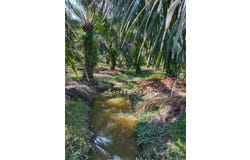 Kinta, Perak 31550