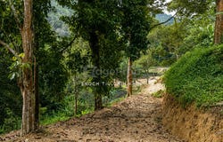 Balik Pulau, Penang 11000