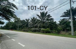 Banting, Selangor 42700
