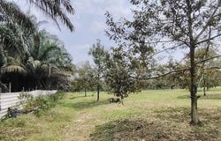 Ulu Tiram, Johor 81800