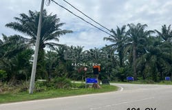 Banting, Selangor 42700